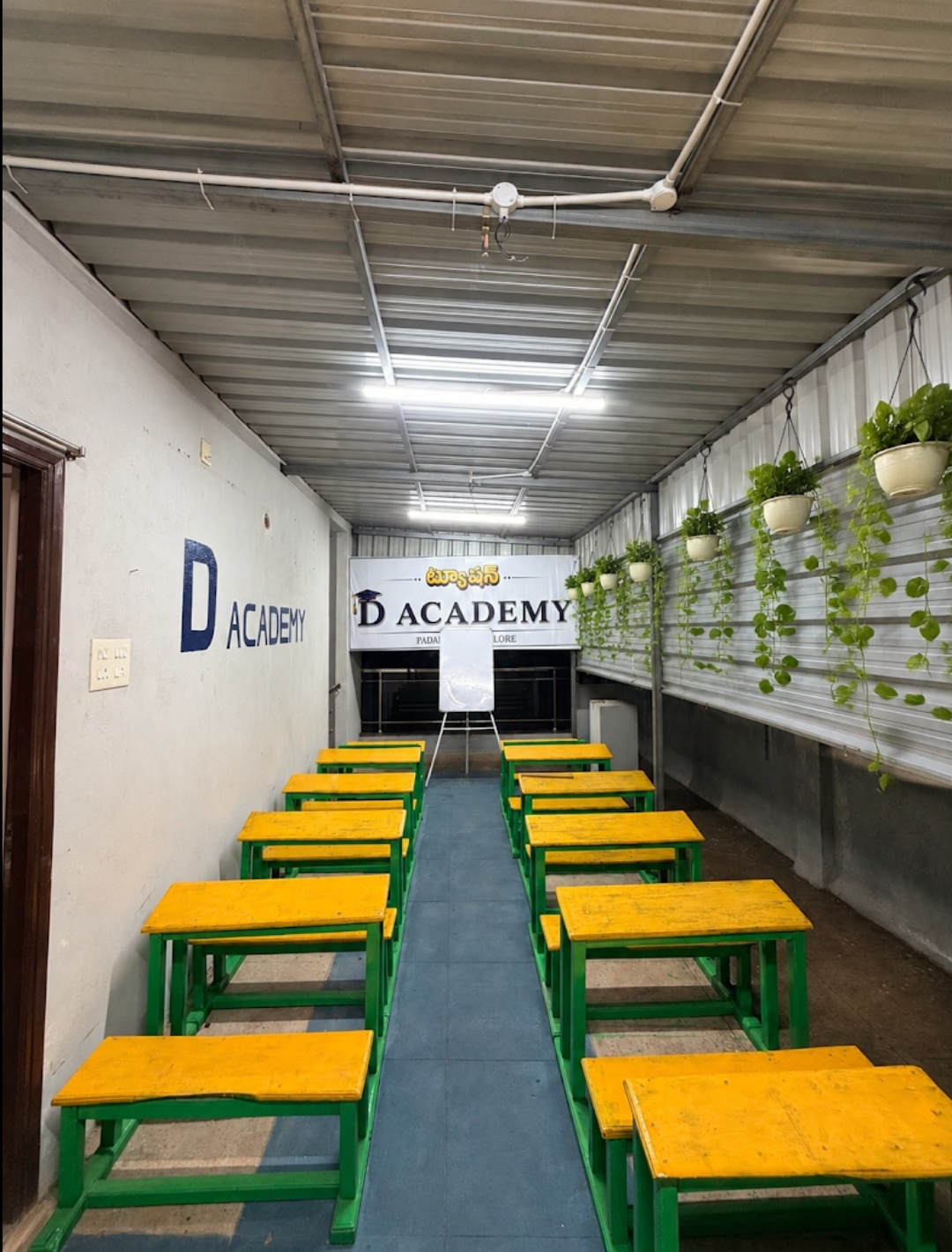 The D Academy classroom with green and yellow desks and hanging plants
